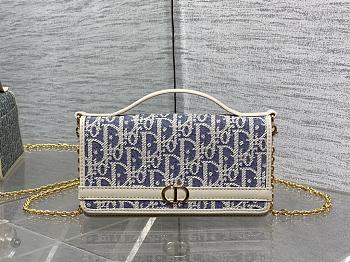 Christian Dior Oblique Chambray 30 Montaigne Cigale Pouch 20.5x11x5cm