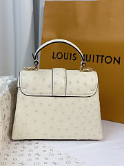 Louis Vuitton Rose des Vents White Bag 19cm - 5
