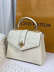 Louis Vuitton Rose des Vents White Bag 19cm - 4