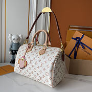  Louis Vuitton Speedy Soft 30 Lucky Bag 30.0 x 21.0 x 17.0cm - 3