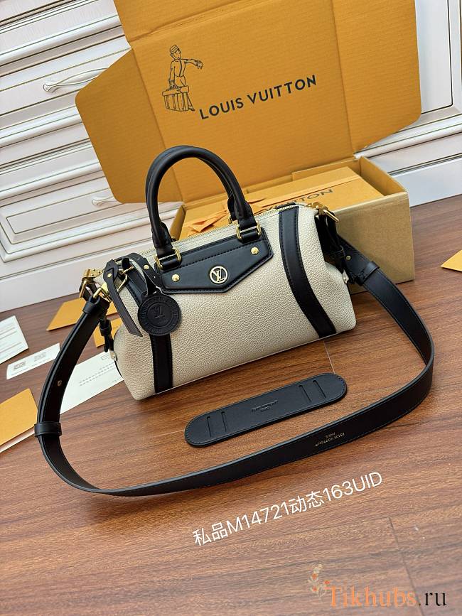 Louis Vuitton Biker PM 30x12x12CM - 1