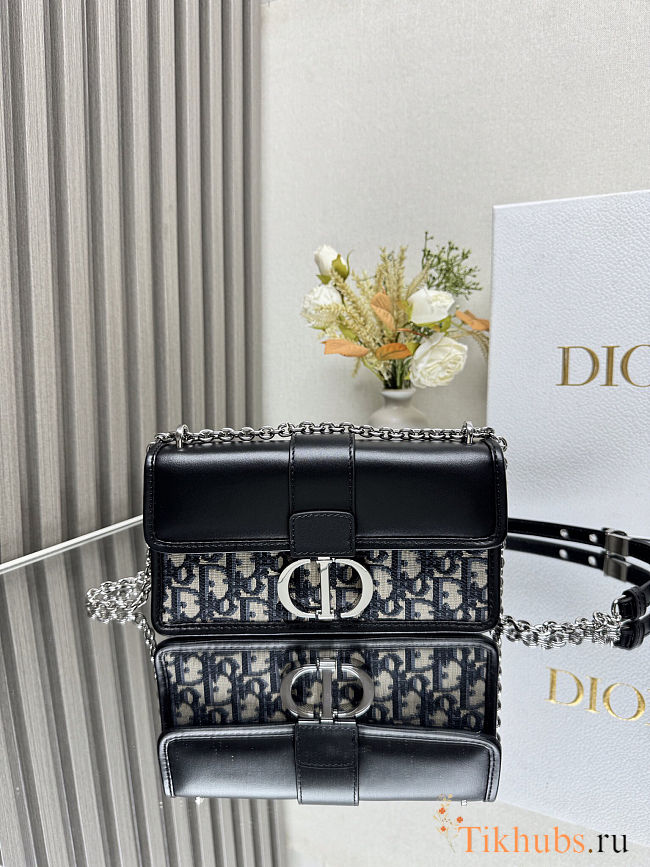 Dior 30 Montaigne East-West Bag with Chain 21x12x6cm - 1
