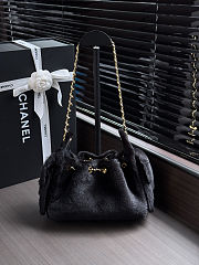  Chanel Pony Hair Mini Chanel 25 Handbag 20x22x12.5cm - 1