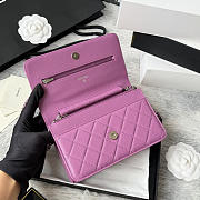  Chanel Quilted Caviar Wallet On Chain (WOC) 19cm - 6